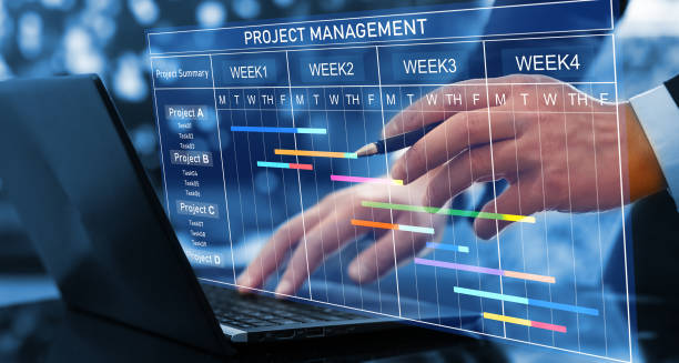 IT Project Management